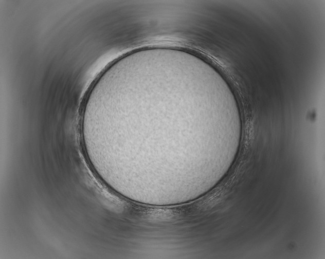 X0000116111470200912071311