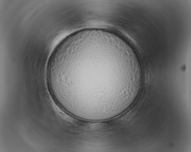 X0000116111471200912071311