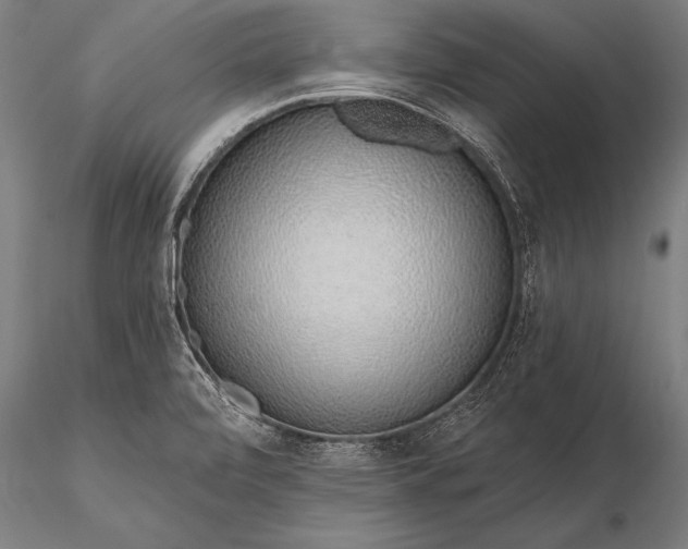 X0000116111472200912071311