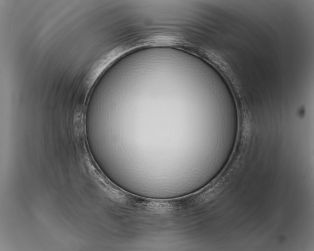 X0000116111473200912071311