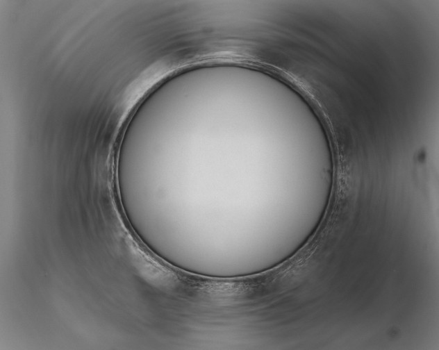 X0000116111474200912071311