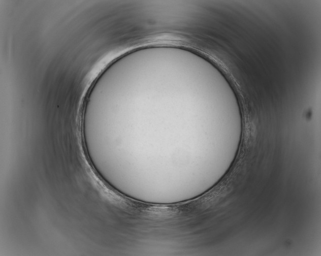 X0000116111478200912071311