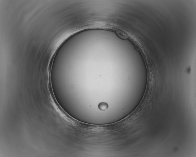 X0000116111479200912071311