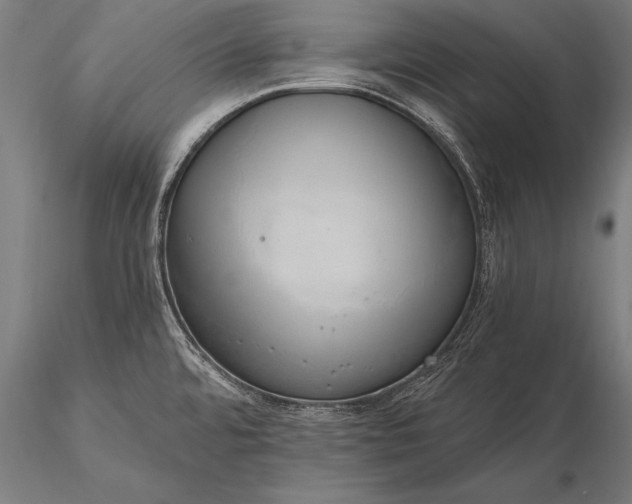 X0000116111480200912071311