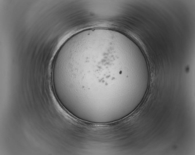 X0000116111483200912071311