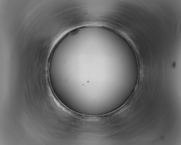 X0000116111484200912071311