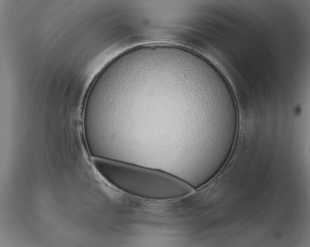 X0000116111485200912071311