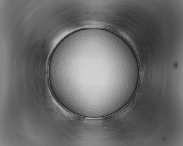 X0000116111487200912071311