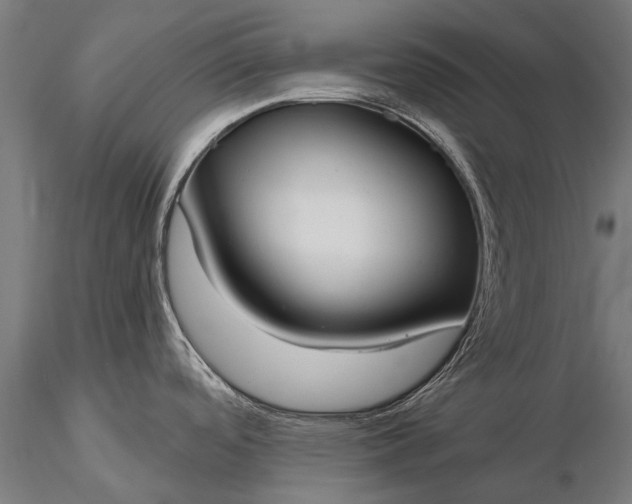 X0000116111488200912071311