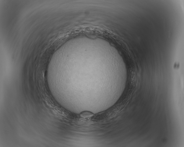 X0000116111489200912071310