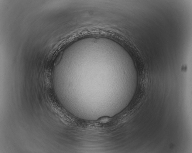 X0000116111490200912071310