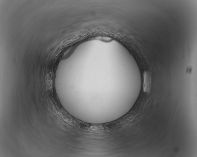 X0000116111491200912071310