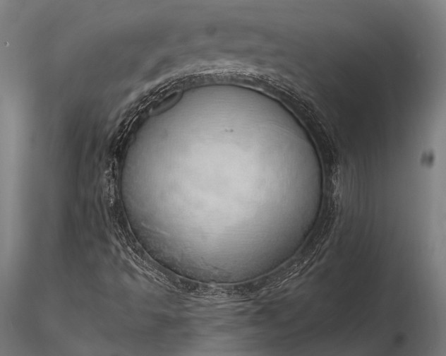 X0000116111493200912071310