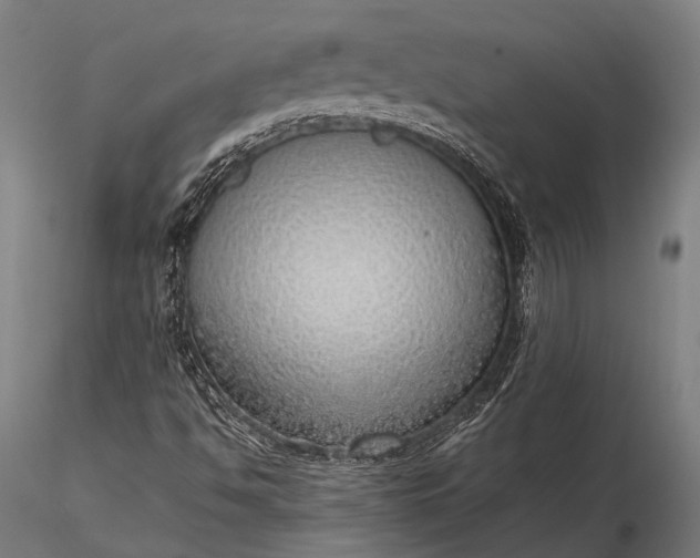 X0000116111494200912071310