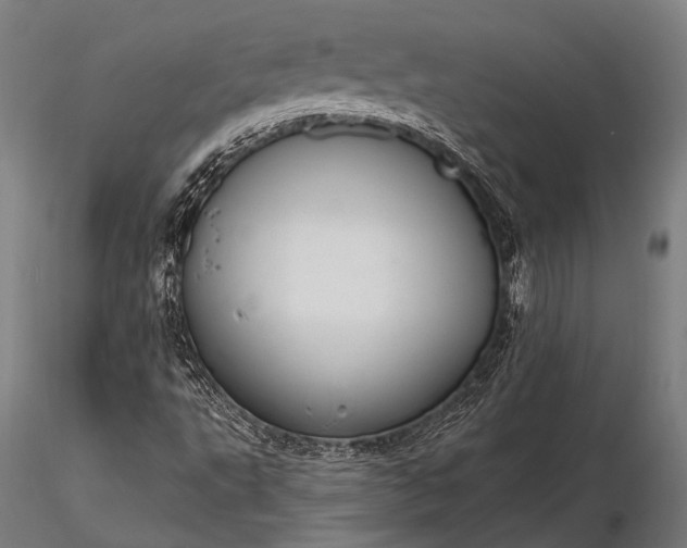 X0000116111495200912071310