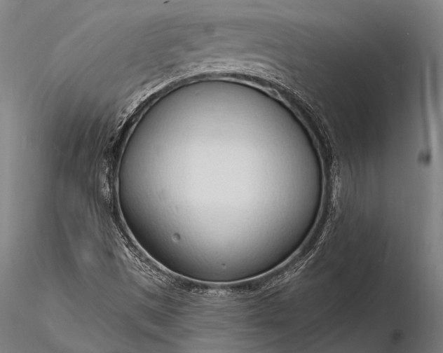 X0000116111497200912071311