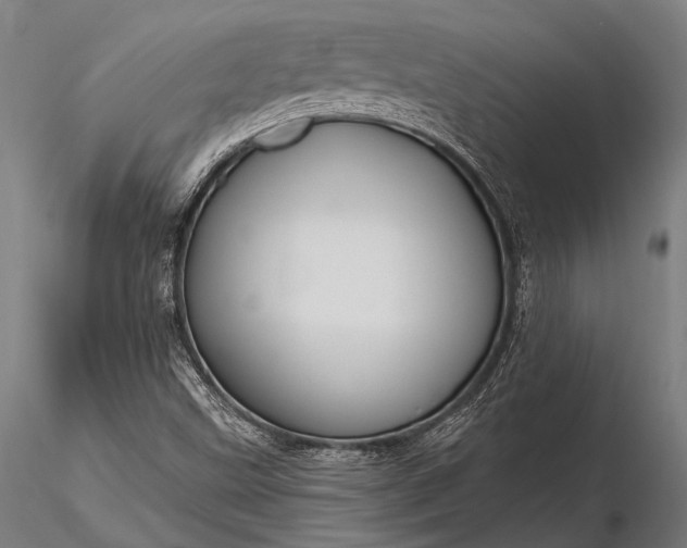 X0000116111499200912071311