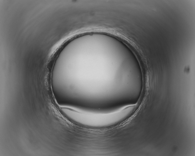 X0000116111502200912071311