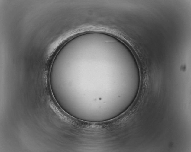 X0000116111503200912071311