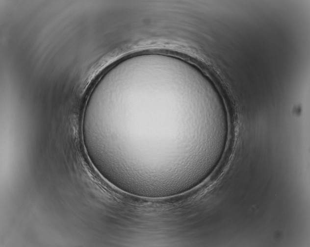 X0000116111505200912071311