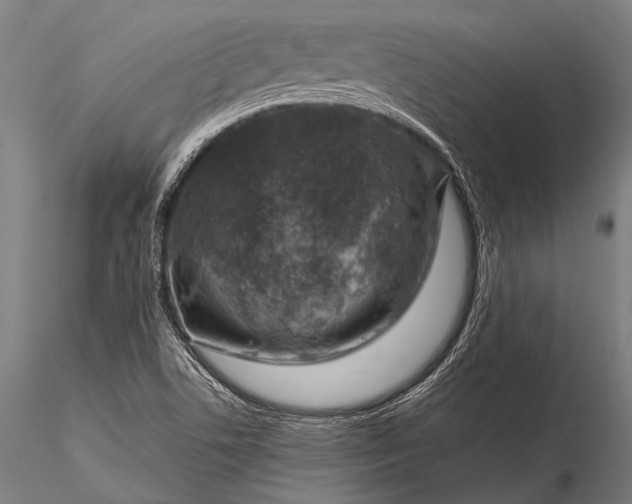 X0000116111506200912071311