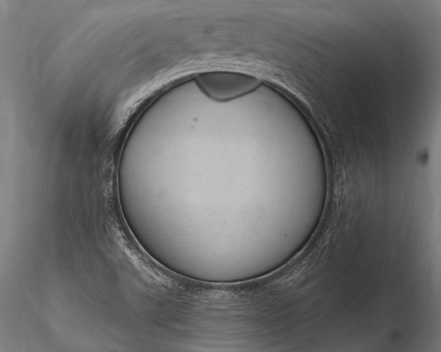 X0000116111507200912071311