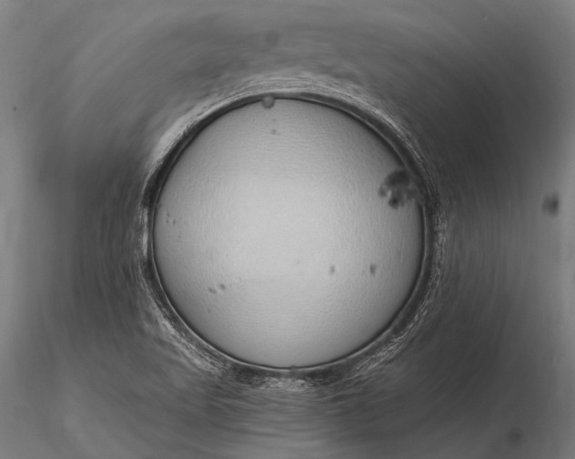 X0000116111509200912071311