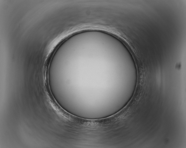 X0000116111511200912071311