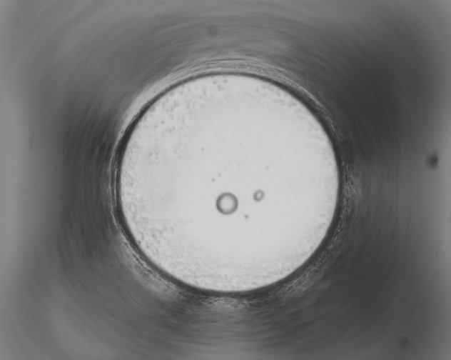 X0000116111514200912071311