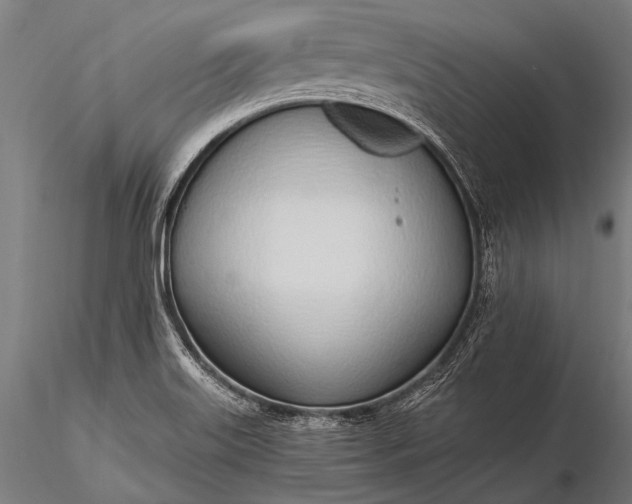 X0000116111515200912071311