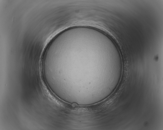 X0000116111517200912071311