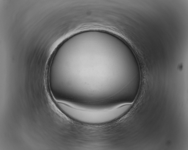 X0000116111518200912071311