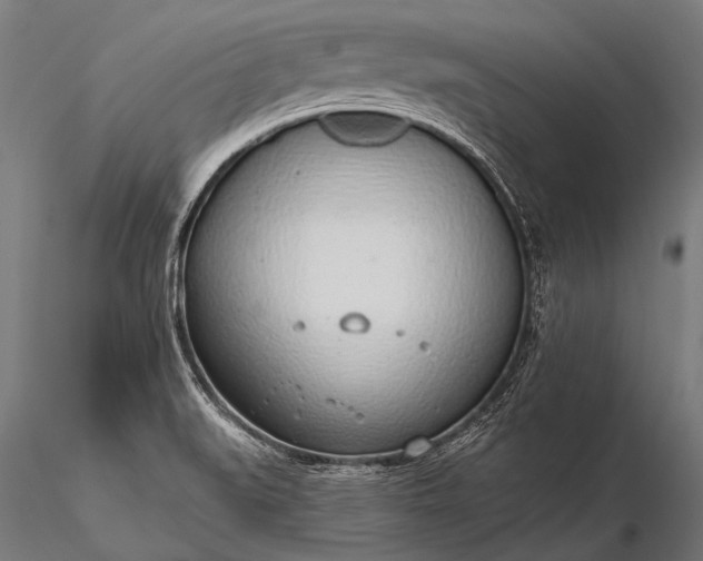 X0000116111519200912071311