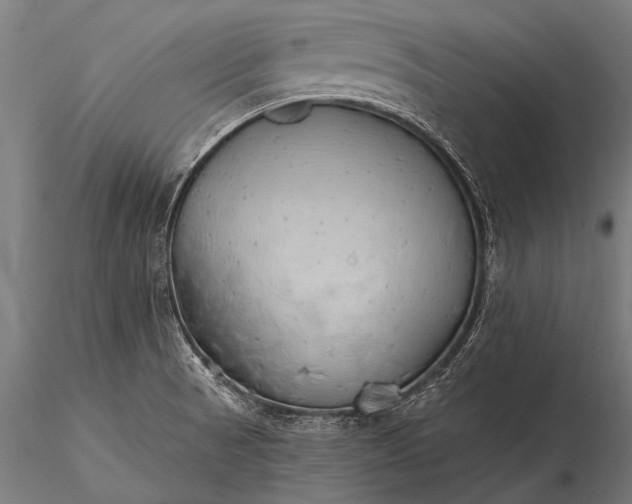 X0000116111521200912071311