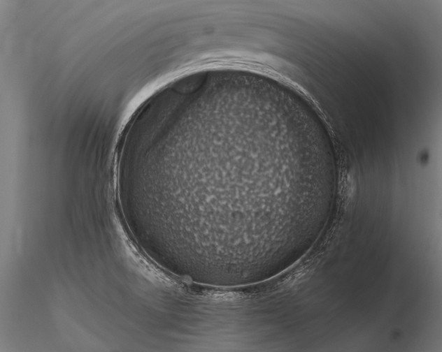 X0000116111522200912071311