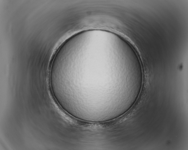 X0000116111525200912071311