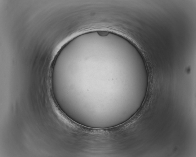 X0000116111526200912071311