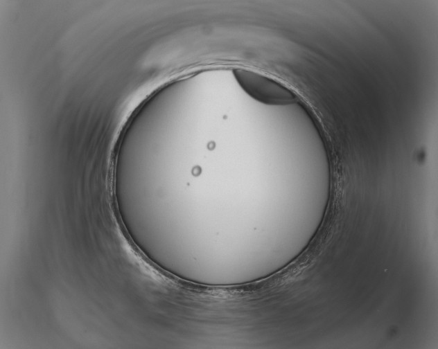 X0000116111527200912071311