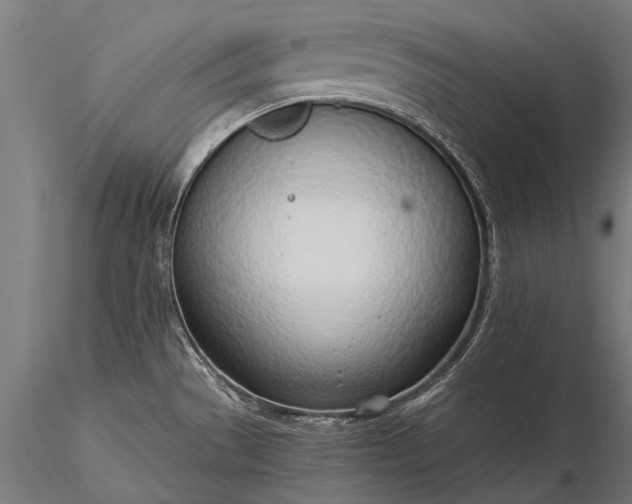 X0000116111529200912071311