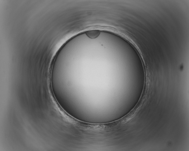 X0000116111533200912071311