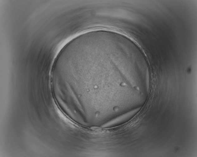 X0000116111535200912071311