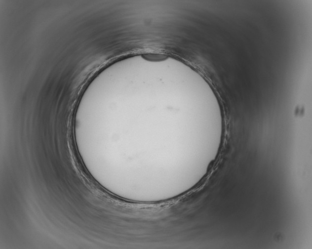 X0000116110001200912141032