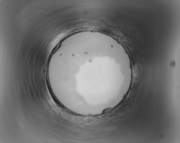 X0000116110003200912141032