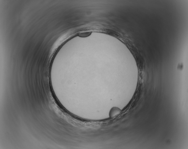 X0000116110004200912141032