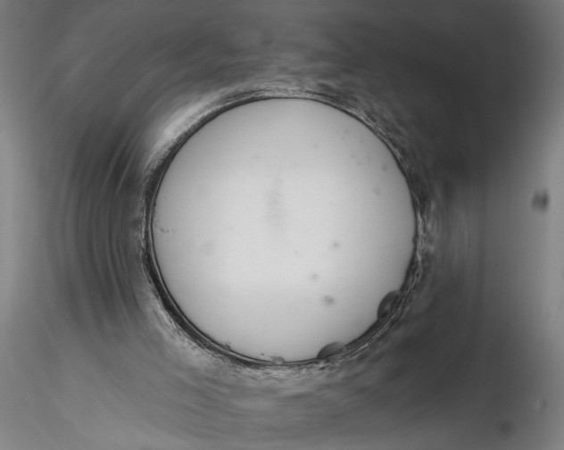 X0000116110005200912141032