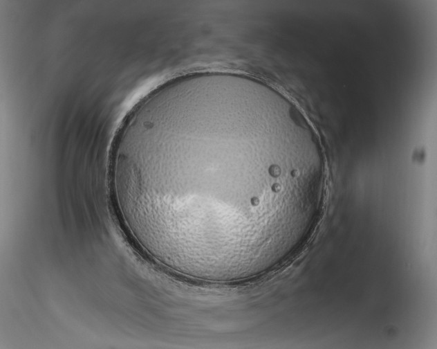 X0000116110008200912141032