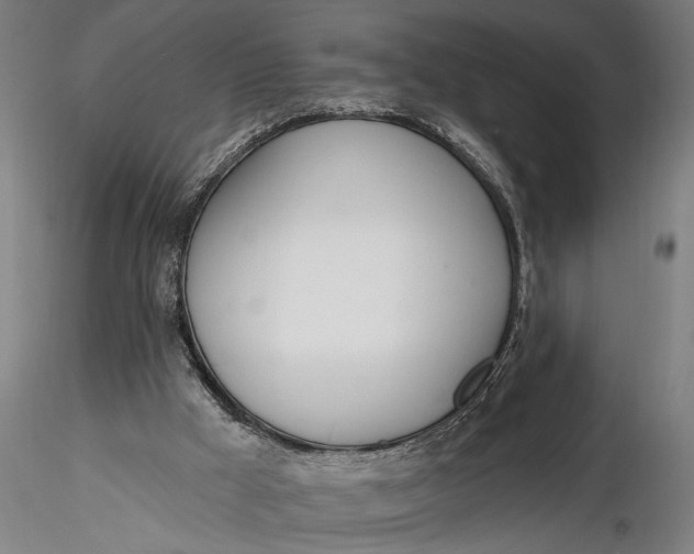 X0000116110009200912141032