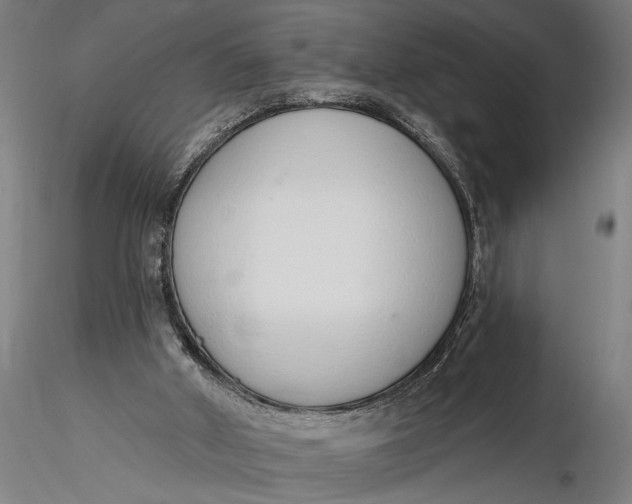 X0000116110010200912141032