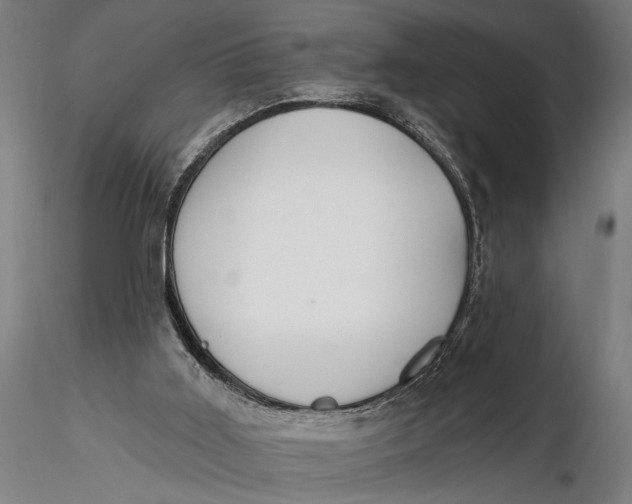 X0000116110011200912141032