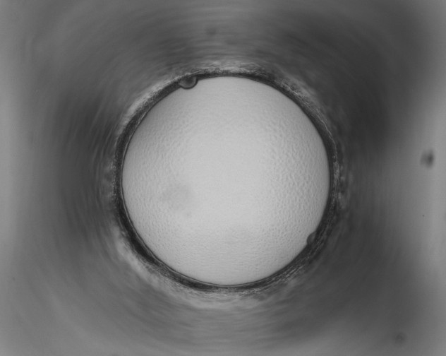 X0000116110012200912141032